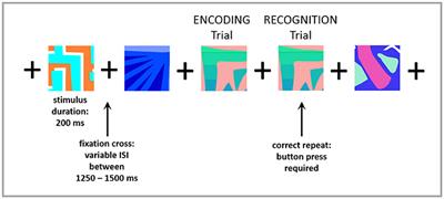 Visual Working Memory Encoding and Recognition in Good Outcome Aneurysmal Subarachnoid Patients